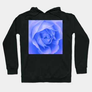 Purple rose Hoodie